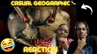 The Traumatizing Reality of Being An Ant | REACTION!