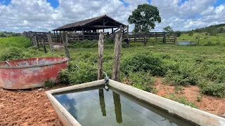 Fazenda a venda no Tocantins às margens da BR 153 com dupla aptidão#pecuaria#lavoura