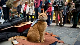 A tipsy ginger cat unexpectedly makes a homeless busker rich