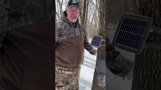 Consider using a solar trail cam #deer #deerhunting #hunting