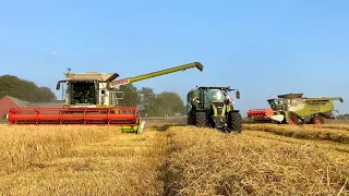 Claas Lexion 670 X2, Grahns Maskintjänst AB (4K)