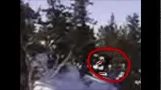 Russian Bigfoot Sasquatch- Fact Or Fiction