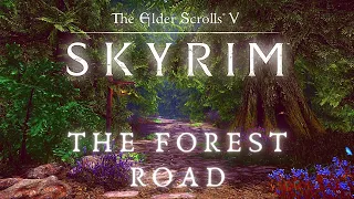 The Forest Road To Rorikstead - Walking Across All of Skyrim p.6 | Skyrim 4K Music & Ambience