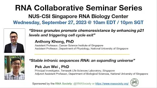 RNA Collaborative – NUS-CSI Singapore, September 27, 2023
