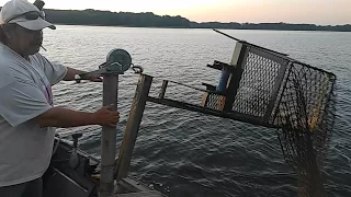 Commercial Crab fishing - (Chesapeake Bay) - [Catching Blue Crabs]