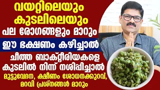 വയറ്റിലെയും കുടലിലെയും ചീത്ത ബാക്ടീരിയകൾ നശിക്കും ഈ ഭക്ഷണം കഴിച്ചാൽ / Dr Shimji