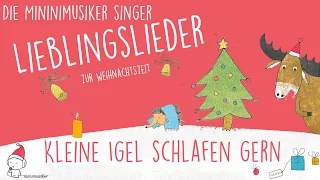 Kleine Igel schlafen gern - Lieblingslieder zur Weihnachtszeit I Die Minimusiker