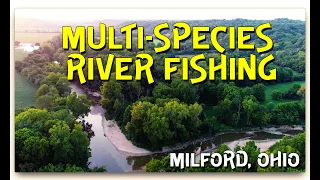 Multi-Species day on the East Fork Little Miami (Milford, Ohio)