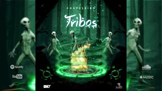 TRIBOS - Chapeleiro & Freakaholics - Multiverso