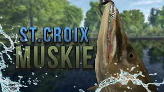 How to catch St. Croix Muskie in Fishing Planet! (Clear Muskie & Tiger Muskie, too!)