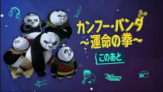 Kung Fu Panda: The Paws of Destiny Disney Channel Japan Next Bumper