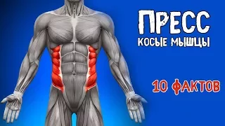 ПРЕСС (КОСЫЕ МЫШЦЫ). 10 Фактов. БИОМЕХАНИКА, ТРЕНИРОВКИ, АНАТОМИЯ.