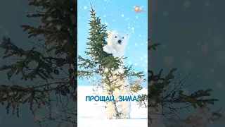 Прощай, зима! С последним днём зимы.