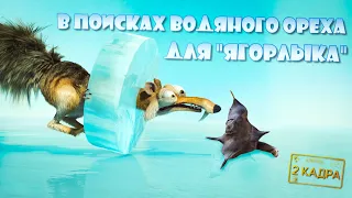 В поисках водяного ореха для "Ягорлыка". Нижний Днестр. Приключения на воде. 2 кадра 09.05.2024