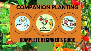 Complete Beginner's Guide to Companion Planting