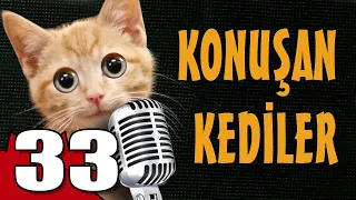 Konuşan Kediler 33 - En Komik Kedi Videoları