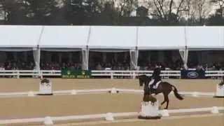 William Fox Pitt and Bay My Hero Dressage