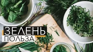 Зелень. Польза. Укроп петрушка. Огулова Ольга