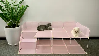 How to make a simple and cool house on stilts for Pomeranian Poodle dogs & kitten - Mr Pet Family #8