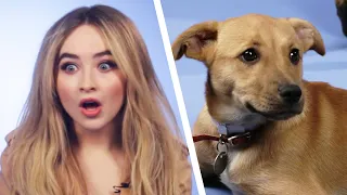 Sabrina Carpenter Plays With Puppies While Answering Fan Questions