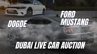 Car Auction in Dubai UAE 🇦🇪 |Accidental Cars business | Ford Mustang / Dodge Charger n Challenger