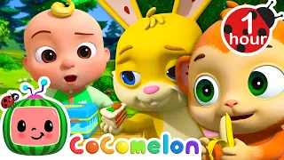 Colorful Lunch Song + More Food Songs | CoComelon Animal Time - Learning with Animals