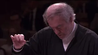 Short excerpt of David with maestro Gergiev