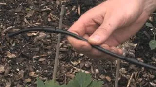 Drip Irrigation Basics