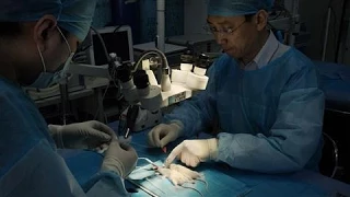 Cutting-Edge Science: Head Transplants on Mice