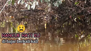 Mancing ikan di anak sungai patin -duel sengit tiada ampun