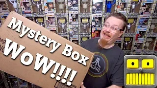 What An Amazing $1000 Funko Pop Mystery Box