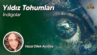 Yıldız Tohumları | İndigolar | Hazal Dilek Ayyüce