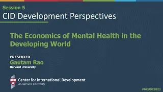 CID Development Perspectives: The Economics of Mental Health in Developing Countries