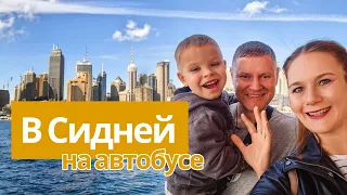 Как увидеть весь Сидней за день?! Катаемся на пароме и автобусе