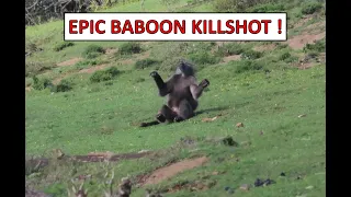 Epic Baboon Hunting !