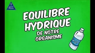 Équilibre hydrique de l'organisme