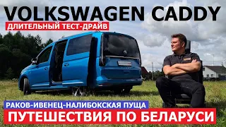 Автопутешествие Volkswagen Сaddy Maxi 1.6 отзывы Дикие лошади Тарпаны Налибокская пуща Раков Ивенец