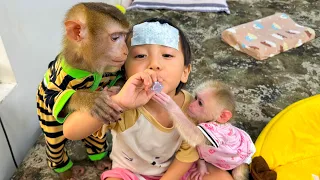 Monkey Kaka took medicine for Diem to drink to quickly recover