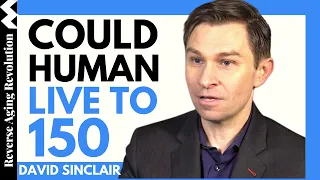 Could We Live To 150? | Dr David Sinclair Interview Clips