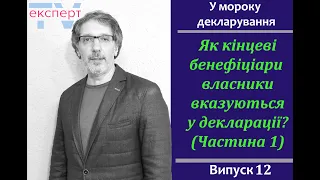 Як кінцеві бенефіціарні власники вказуються у декларації? У мороку декларування #12 (Частина 1)