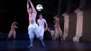 Matthew Bourne΄s Swan Lake, 2012 - swan dance - long