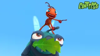 Flydentity Crisis 🦟 | ANTIKS | Moonbug Kids - Funny Cartoons and Animation