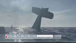 Plane crash video goes viral