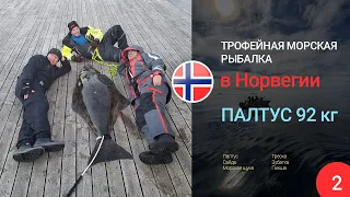 Трофейный палтус - Трофейная морская рыбалка в Норвегии (часть 2)   Треска, сайда, палтус, зубатка