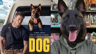 Dog - Movie Review