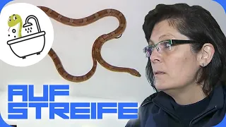 Schlange in der Badewanne 🐍 Unglaublich, wie das Tier in die Wohnung kam! 😨  | Auf Streife | SAT.1