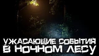 ЖУТКИЙ И АТМОСФЕРНЫЙ НОЧНОЙ ЛЕС! - Exanimum: The Silent Call [Хоррор Стрим, Прохождение]