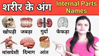 Internal Body Parts name in Hindi & English with Pictures | शरीर के अंग | Name of Body Parts