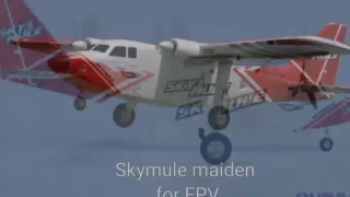 Sky Mule FPV maiden - only with OSD