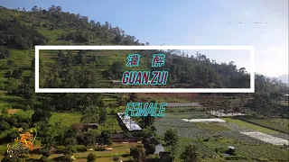 Guan Zui (灌 醉) for Female - Karaoke mandarin with drone view